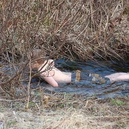 Tatil Evi I Raftsundet *